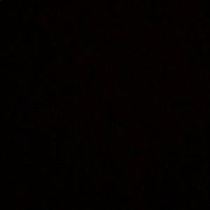 Meet your Posher, Gibran